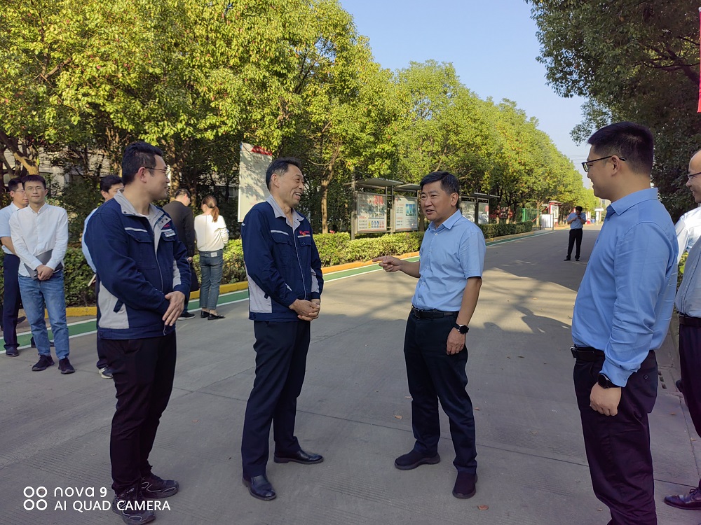 縣領導到我司調研督導主題教育開展情況